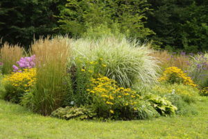 Floßfahrt auf der Randow & Botanischer Garten Christiansberg 7