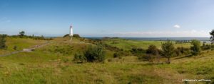 Insel Hiddensee mit Kutschfahrt 10