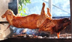 Sommerfest in Trinwillershagen 9