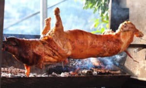 Schlachtefest mit Blasmusik in Trinwillershagen 17