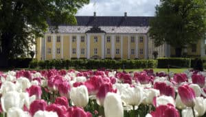 Dänemarks größtes Tulpenfestival 17